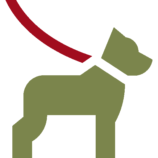 chien-gites-kermes-maison-stony