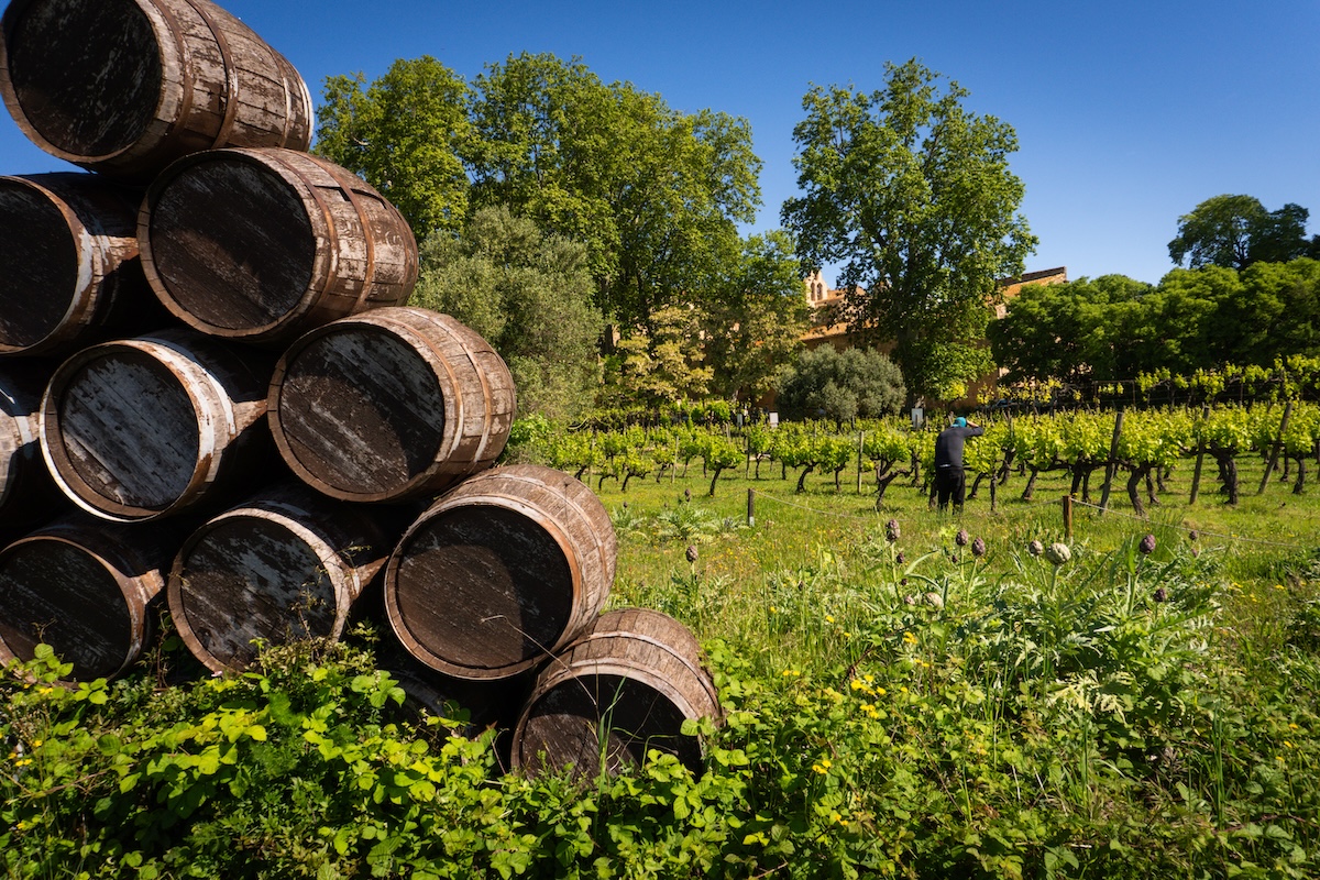 Valmagne et ses extérieurs à décrouvrir entre vignoble et garrigue